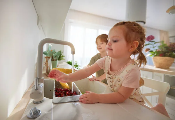 Cute Kids Siblings Washing Corn Cherries Tap Water Kitchen Home — Stock Photo, Image
