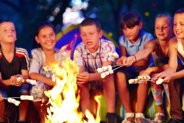 Gelukkige jonge geitjes roosteren marshmallows op kampvuur — Stockfoto