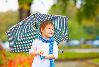 cute kid boy with umbrella in autumn park clipart