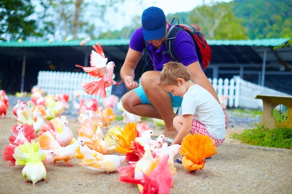 Glückliche Familie füttert bunte Taubenvögel auf Bauernhof — Stockfoto