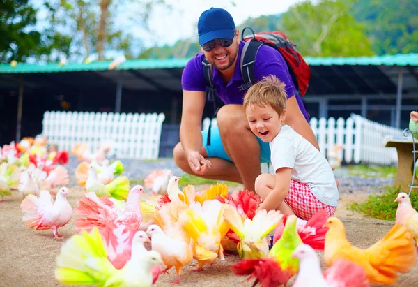 Família feliz alimentando pássaros pombo coloridos na fazenda — Fotografia de Stock