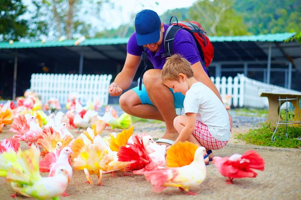 Família feliz alimentando pássaros pombo coloridos na fazenda — Fotografia de Stock