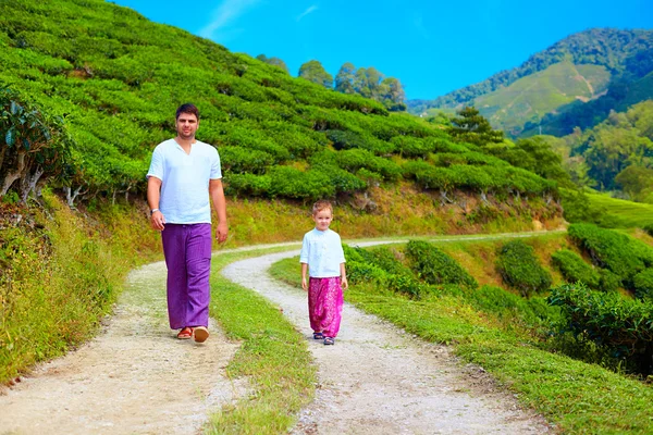 Chemin pédestre père et fils à travers la plantation de thé — Photo