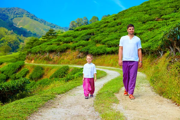 Pai e filho caminhando pedestre através da plantação de chá — Fotografia de Stock