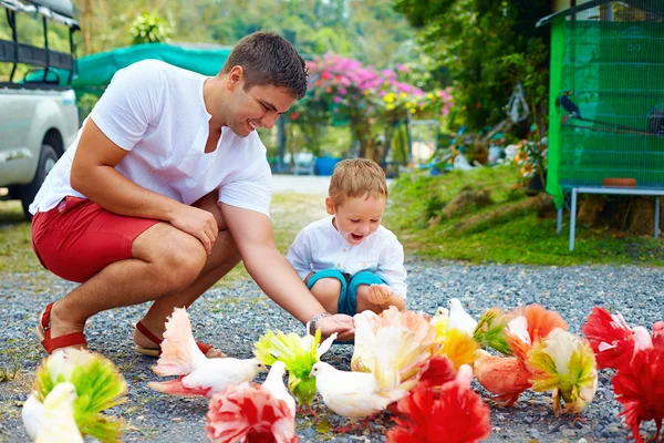 Famiglia eccitata alimentazione piccioni colorati in fattoria animale — Foto Stock