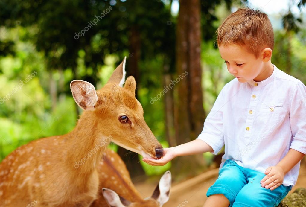 動物園写真素材 ロイヤリティフリー動物園画像 Depositphotos 動物園写真素材 ロイヤリティフリー動物園画像 Depositphotos