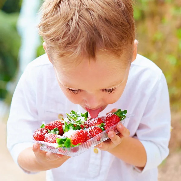 Carino ragazzo degustazione gustose fragole fresche in polvere di zucchero — Foto Stock