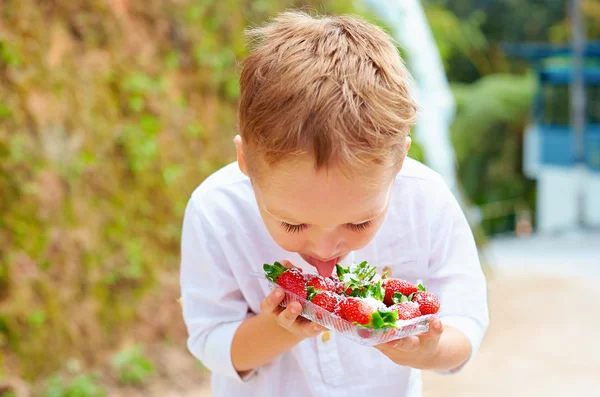 Cute boy tasting yummy fresh strawberries in sugar powder — Stock Photo, Image