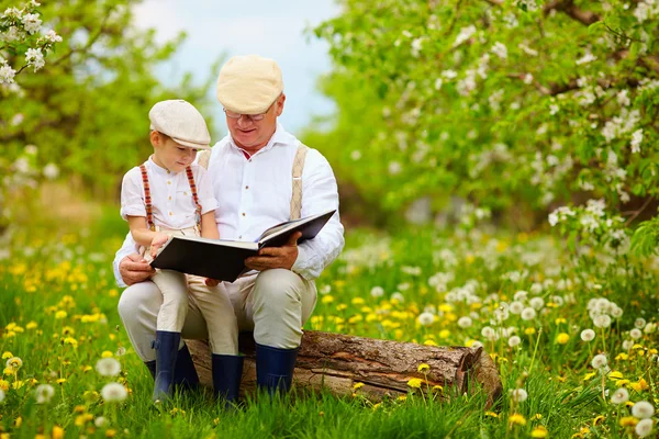 Avô lendo um livro para seu neto, no jardim florescente — Fotografia de Stock