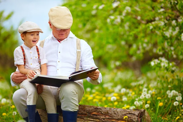 Farfar läser en bok till sin sonson i blommande trädgård — Stockfoto