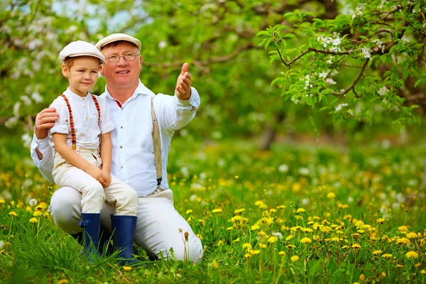 Avô compartilhando experiência com neto no jardim da primavera — Fotografia de Stock