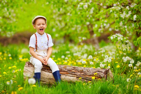 Bonito rindo menino sentado no toco de madeira no jardim de primavera — Fotografia de Stock