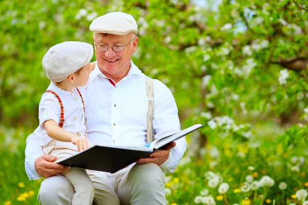 Nonno con nipote lettura libro in giardino primaverile — Foto Stock