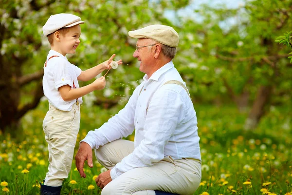 Happy grandson, and grandpa having fun in spring garden, blowing dandelions — Stock Photo, Image