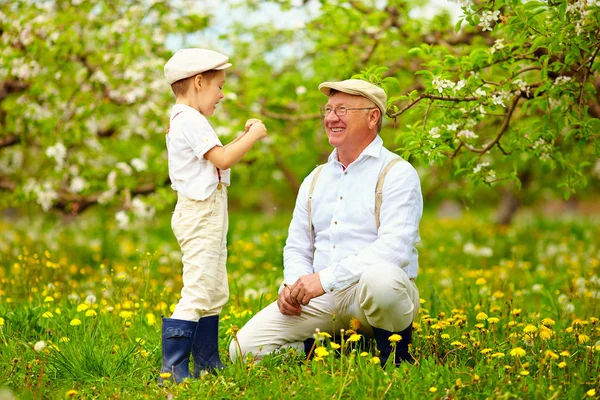 Happy grandson, and grandpa having fun in spring garden, blowing dandelions — Stock Photo, Image