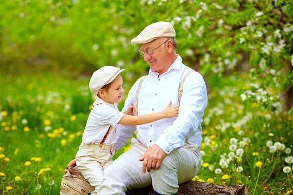 Grandson playing with grandpa in spring garden Stock Picture