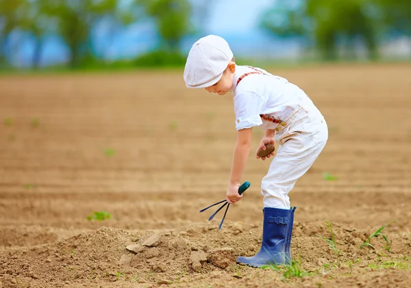 Pequeno agricultor bonito trabalhando com pudim no campo de primavera — Fotografia de Stock
