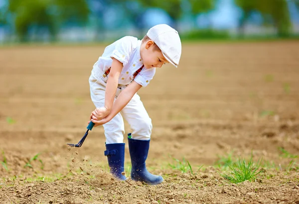 Милый маленький фермер, работающий с картошкой на весеннем поле — стоковое фото