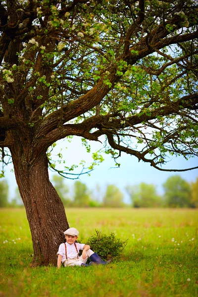 Söt liten pojke sitter under den stora blommande päronträd, landsbygd — Stockfoto