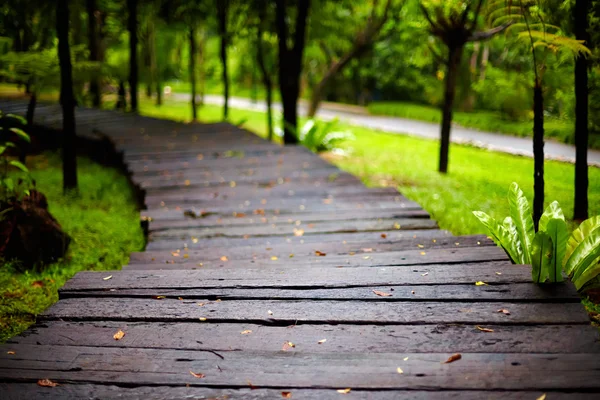 Natte wandelpad in tropische park — Stockfoto