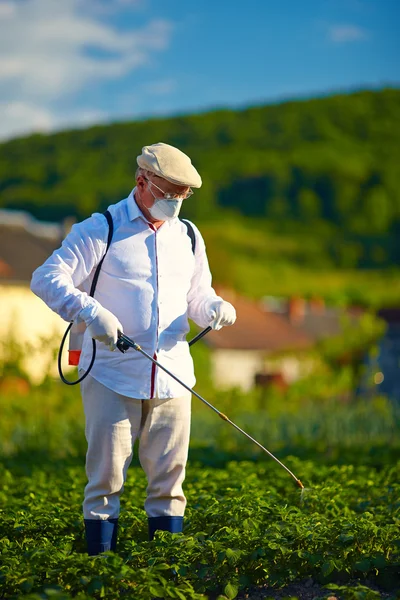 Man in protective clothes spraying insecticide on potatoes — Stock Photo, Image