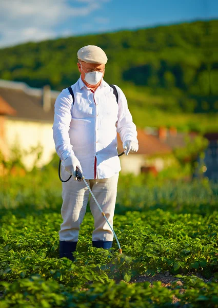 Homem em roupas protetoras pulverizando inseticida em batatas — Fotografia de Stock