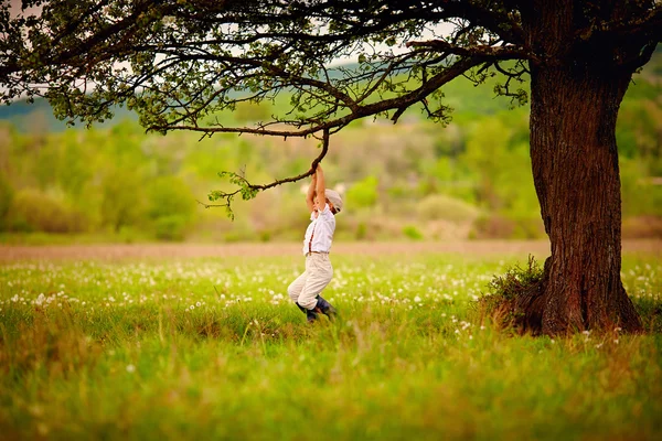 Niedlicher kleiner Bauernjunge spielt unter einem alten Baum — Stockfoto