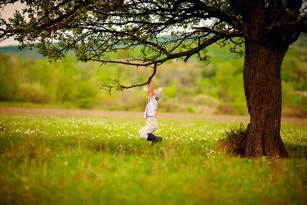 Cute little farmer boy playing under an old tree — Stock Photo, Image