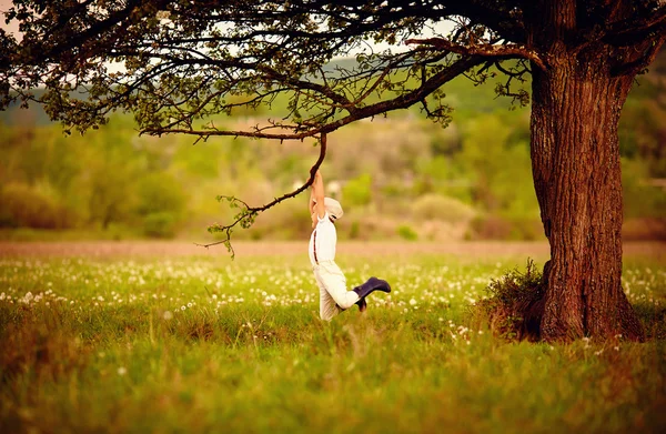 Cute little farmer boy playing under an old tree — Stock Photo, Image