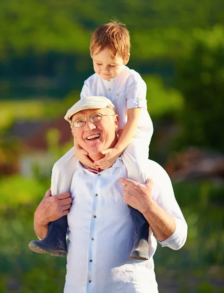 Gelukkig kleinzoon zittend op de schouders van opa, platteland — Stockfoto