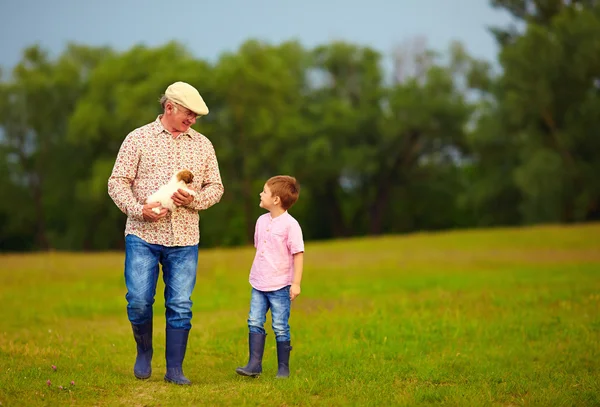 Farfar och sonson går genom det gröna fältet, med valp i händer — Stockfoto