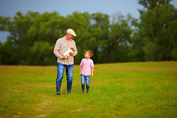 Grandfather and grandson walking through the green field, with puppy in hands — Stock Photo, Image