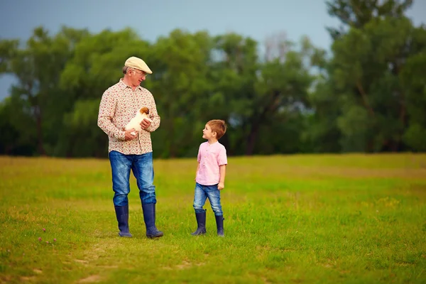 Grandfather and grandson walking through the green field, with puppy in hands — Stock Photo, Image