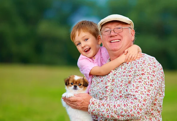 Портрет счастливого дедушки, внука и щенка — стоковое фото