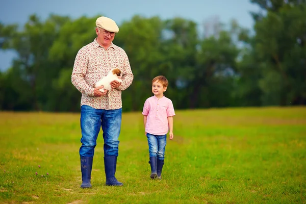 Farfar och sonson går genom det gröna fältet, med valp i händer — Stockfoto