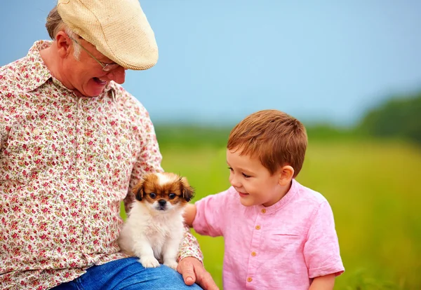 Grandpa and grandson playing with little puppy, summer outdoors — Stock Photo, Image