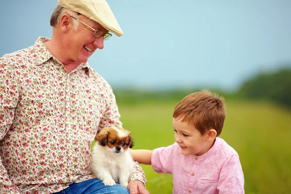 Vovô e neto brincando com filhote de cachorro, verão ao ar livre — Fotografia de Stock