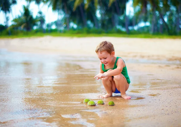 Χαριτωμένο παιδί, αγόρι έχουν βρει μια ομάδα πράσινο αχινοί σε αμμώδη παραλία — Φωτογραφία Αρχείου