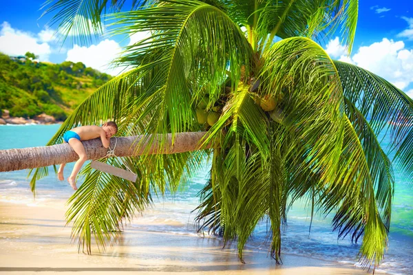 Niño feliz relajarse en la palma en la playa tropical —  Fotos de Stock