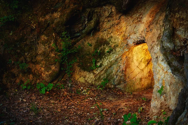 Grotta di pietra segreta nella foresta oscura — Foto Stock