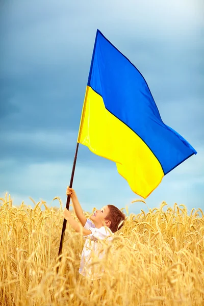 Happy kid  waving ukrainian flag on wheat field — Stock Photo, Image