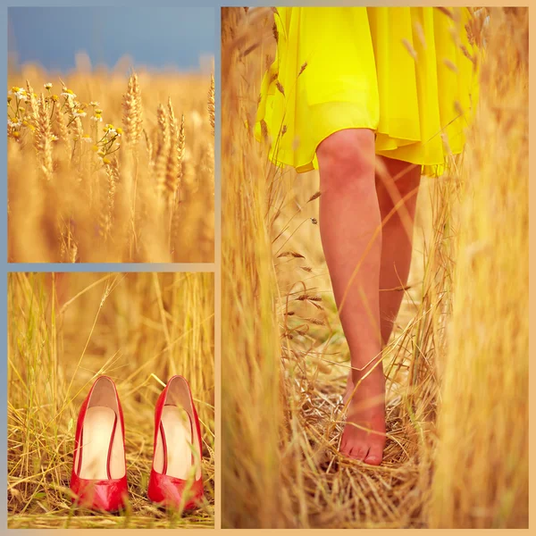 Collage of beautiful young woman's feet on summer wheat field — ストック写真