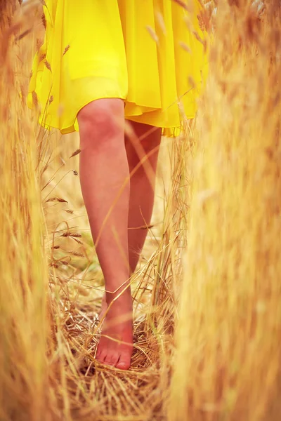 Young delicate woman's feet walking through summer wheat field — Stok fotoğraf