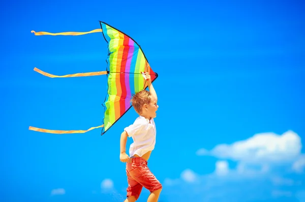 Gelukkige jongen waarop hemelachtergrond met kite — Stockfoto