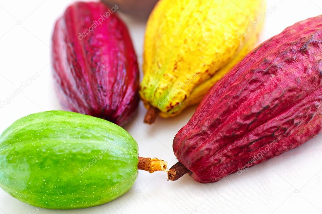 different sorts of colorful cocoa pods