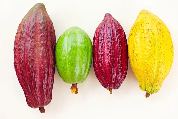 Diversi tipi di baccelli di cacao colorati sul bianco — Foto Stock