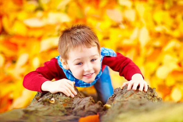 Criança sorrindo, menino escalando uma árvore no parque de outono — Fotografia de Stock