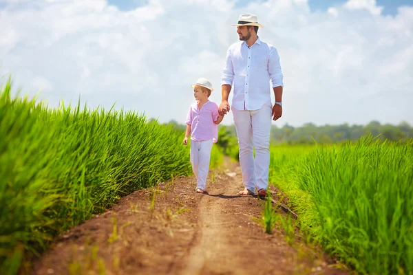 Barefoot father and son walking through the rice field — Stock Photo, Image