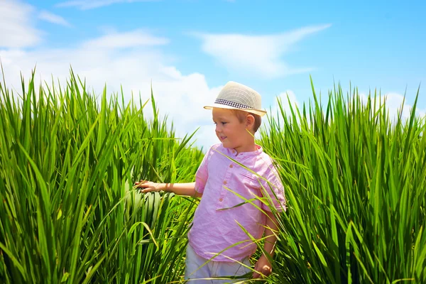 Netter kleiner Junge läuft durch das Reisfeld — Stockfoto