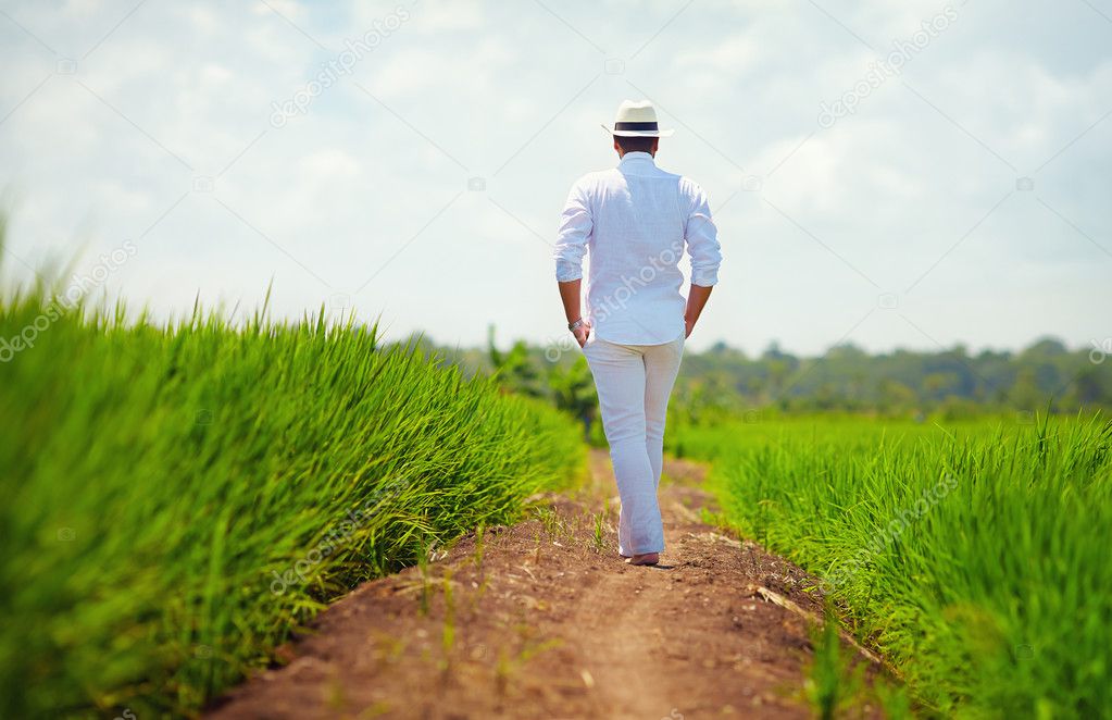 young adult man walking away on path through the rice field